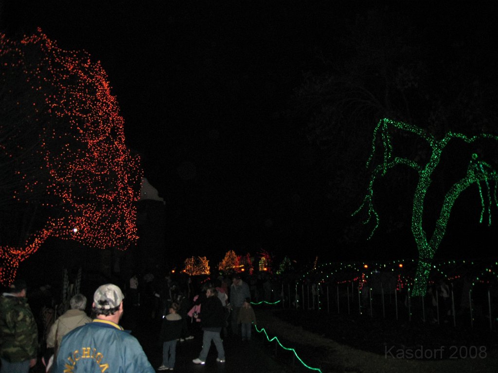 Toledo Zoo Lights 2008 085.jpg - The regular visit to the Toledo Ohio Zoo to see the Christmas Lights displays. New this trip were the "Dancing Lights", displays flashing in time with the Christmas Songs.